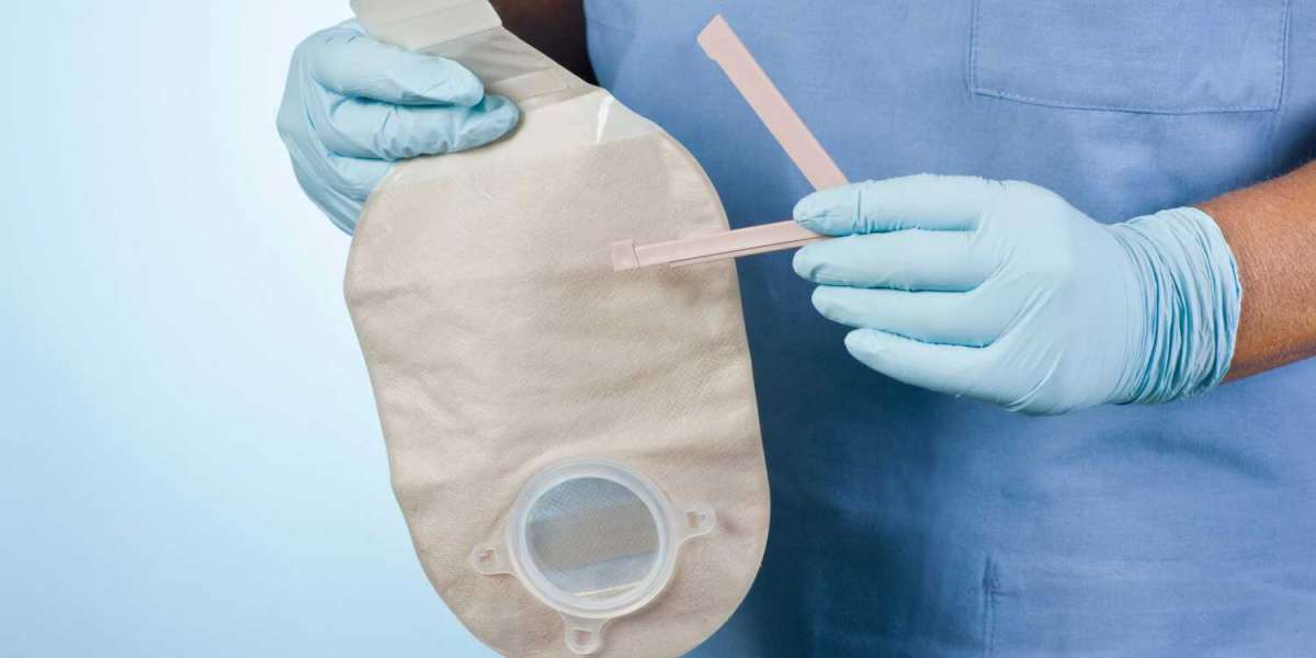 United States Ostomy Care and Accessories Market Size, Share, Trends, Report and Forecast 2024-2032